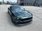 2019 Ford Mustang Bullitt