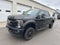 2019 Ford Super Duty F-250 Pickup LARIAT