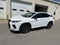 2022 Lexus RX 350 F SPORT Appearance