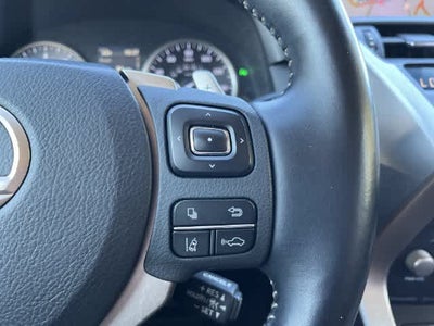 2019 Lexus NX 300 NX 300