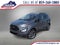 2020 Ford EcoSport SES