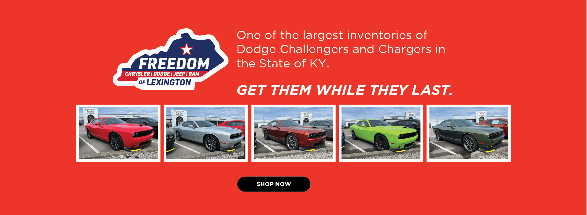 Dodge Chargers at Freedom Chrysler Dodge Jeep Ram of Lexington in Lexington, KY